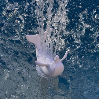 Dolphin Pool Bubbler For Sun Shelf Baja Ledges Shallow Areas 1.5 and 2 Inch Connections NPT MIP